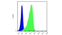 NKp46 (CD335), Mouse anti-Human, Clone: 461-G1, Millipore Sigma:Antibodies:Primary